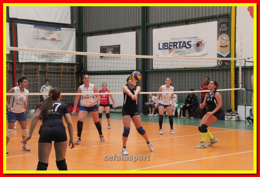 140223 cegap 231_tn.jpg
